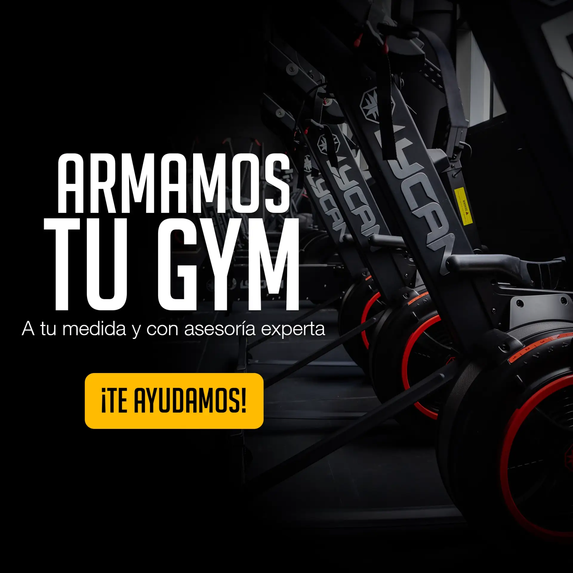 equipamiento gimnasio profesional completo mexico
