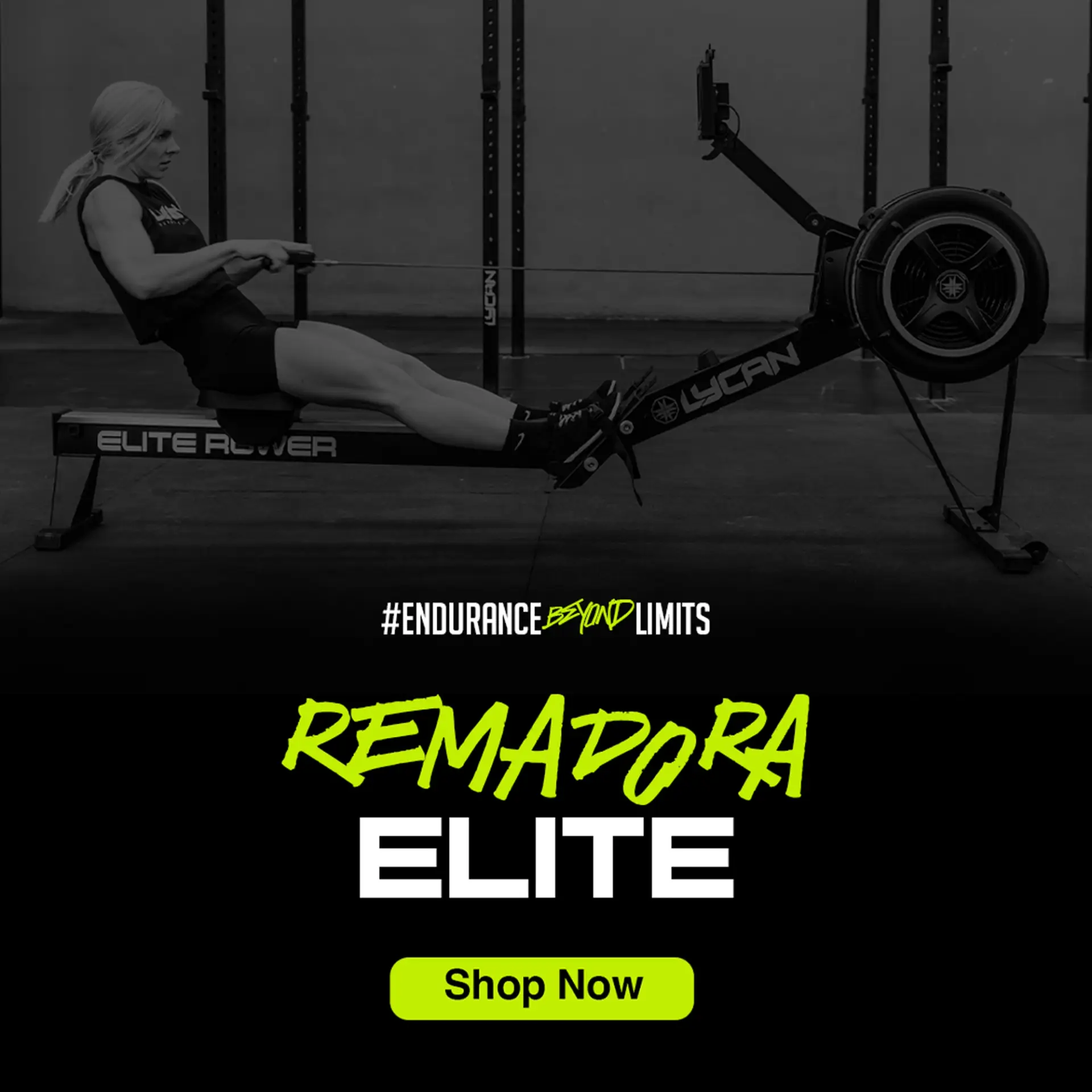 equipamiento gimnasio profesional completo mexico